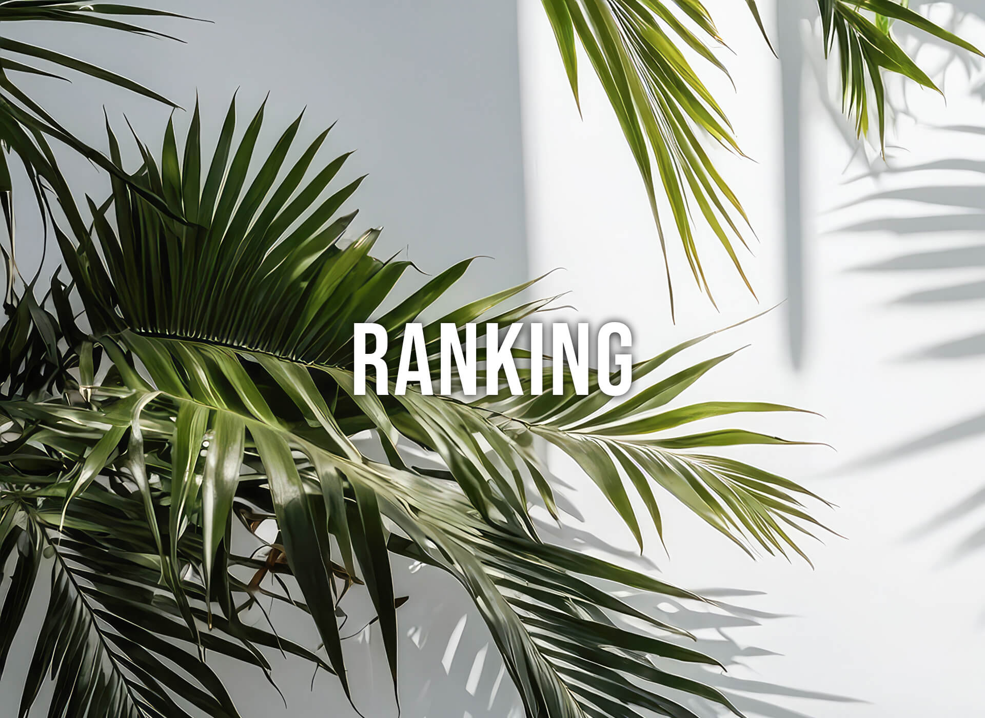 Ranking