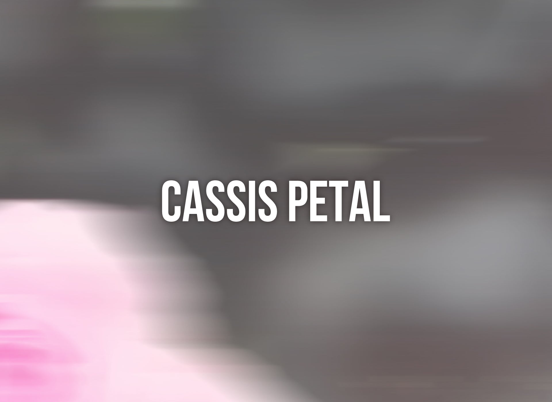 Cassis Petal