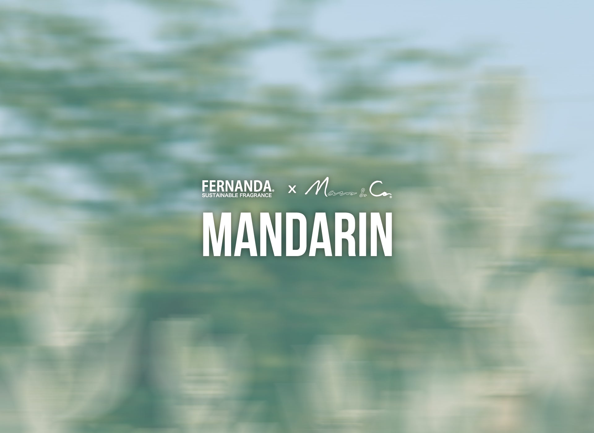 Mandarin