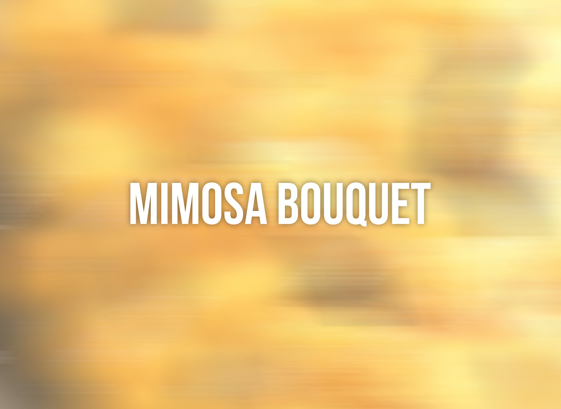 Mimosa Bouquet