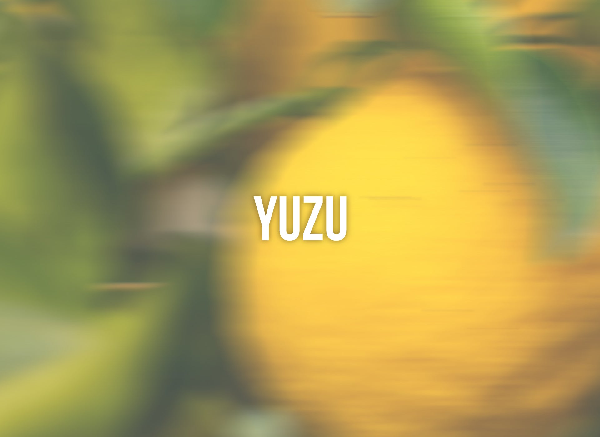 Yuzu