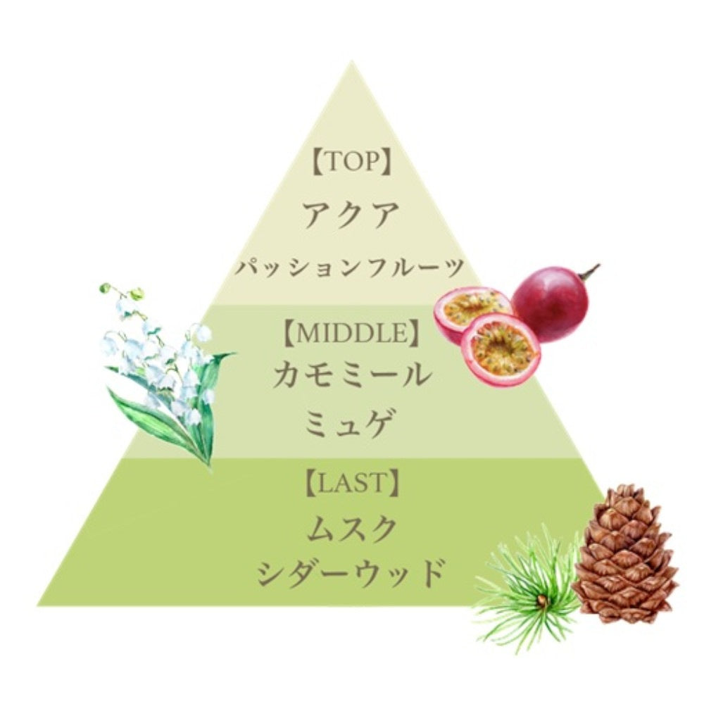 アロマディフューザー 80ml（ケリーダテレーザ） – FERNANDA