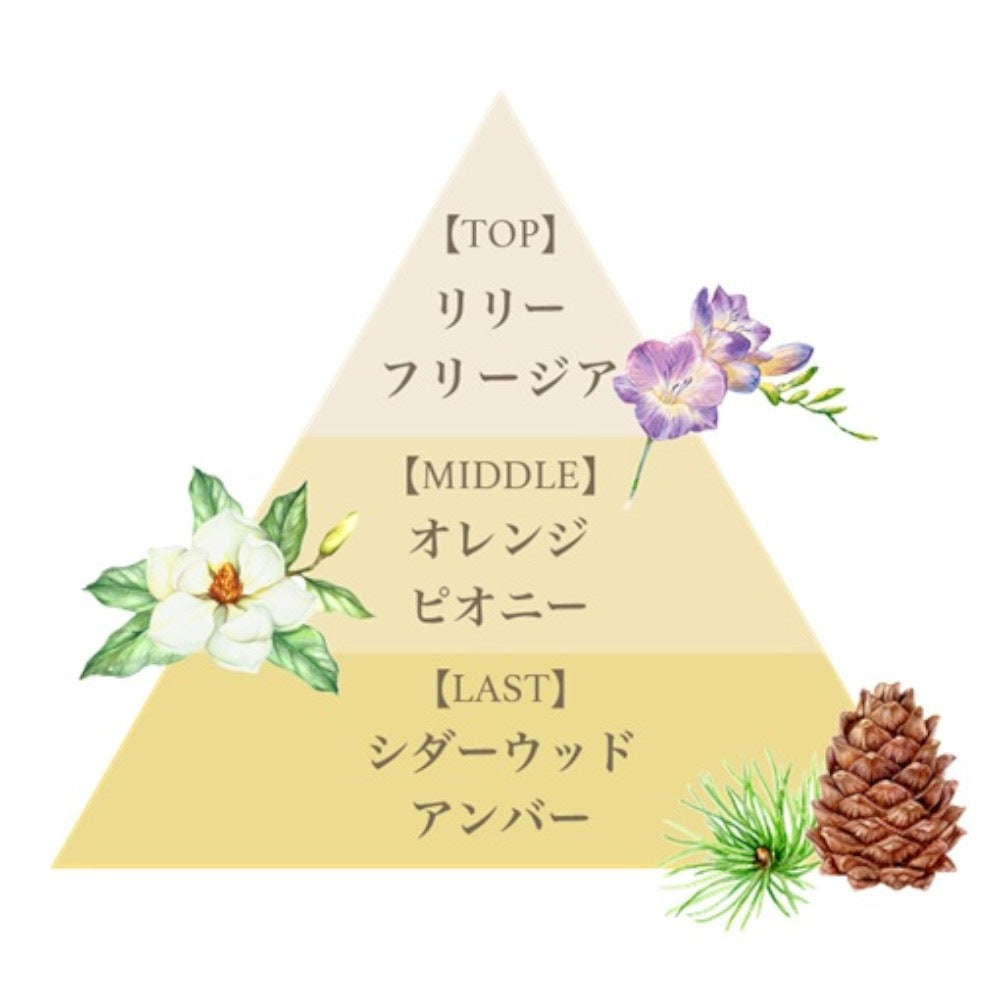 ボディスプラッシュ（リリークラウン）