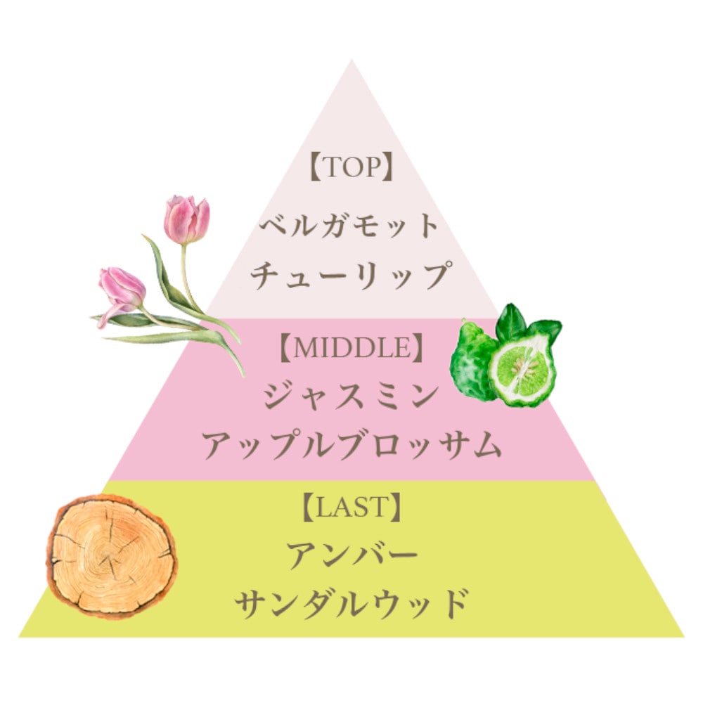 リッチ ハンドクリーム（フランセーザチュリパス）