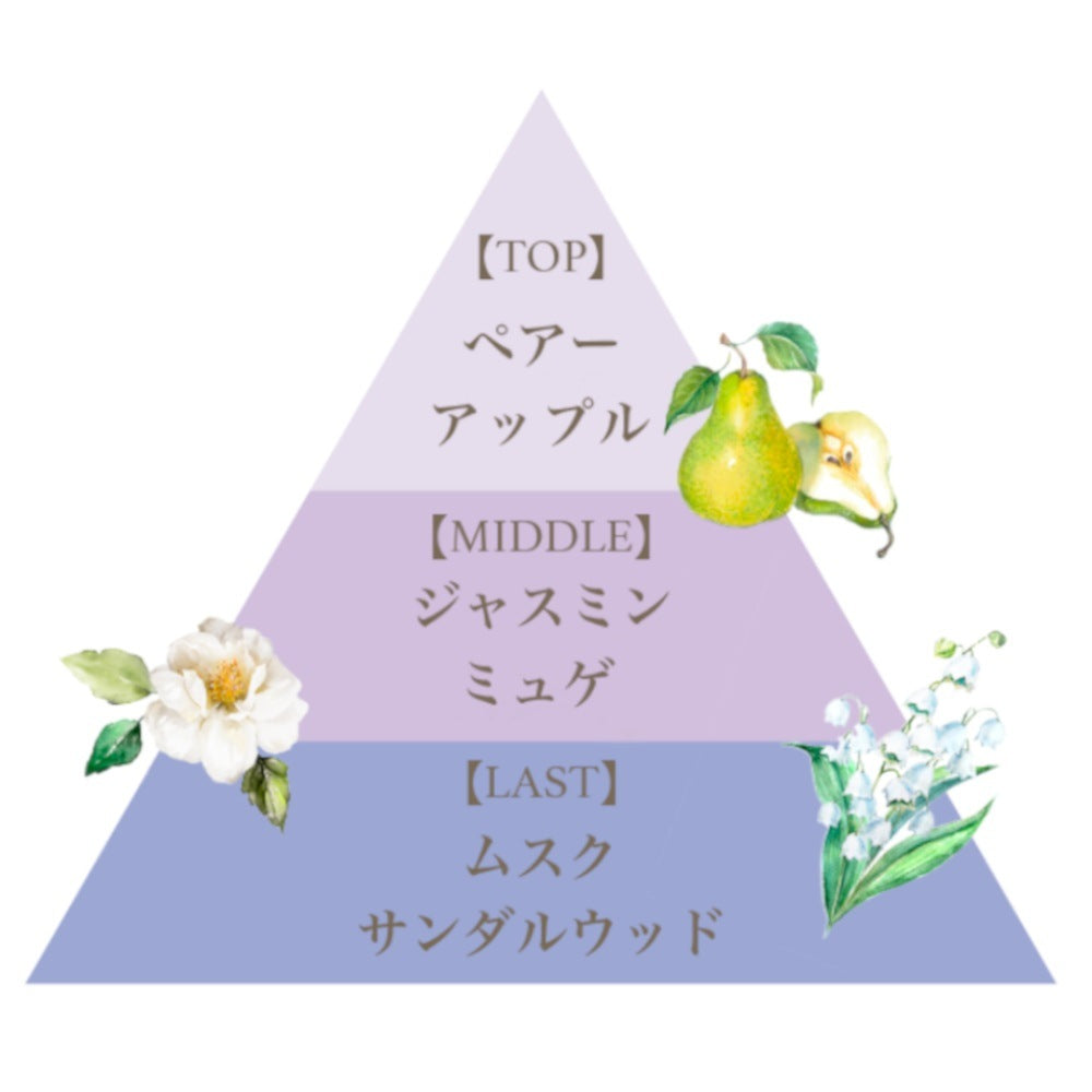 リッチ オーデ コロン（マリアリゲル） – FERNANDA
