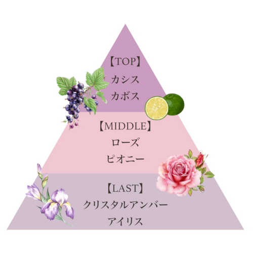 【パンダページ】シークエンスセラム1、デリケートクリームのセット プレミアム ハンドクリーム（カシスペタル） – FERNANDA