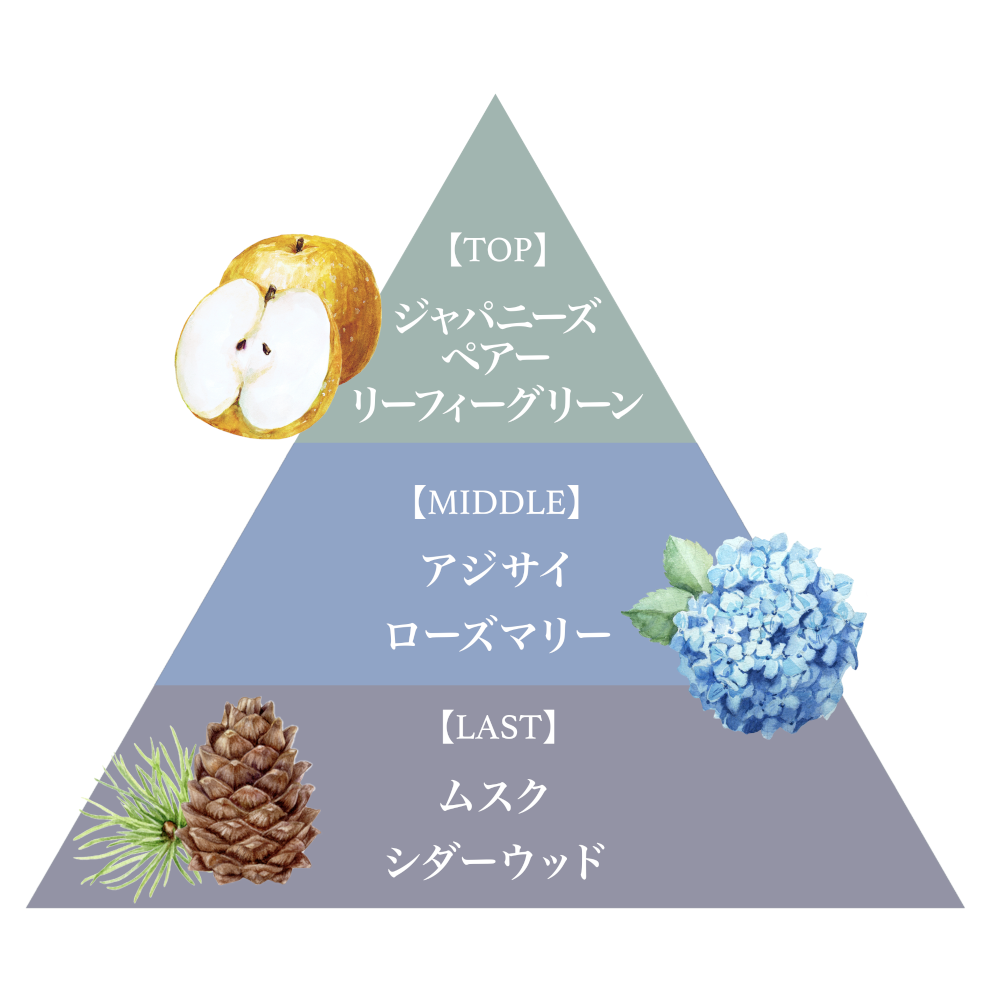 ボディスプラッシュ（アジサイ）