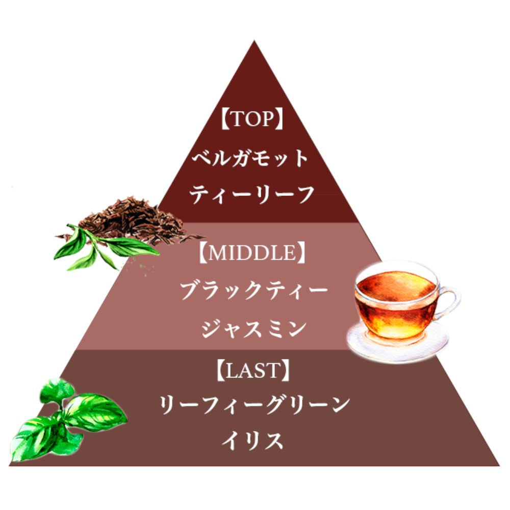 プレミアム ハンドソープ（ブラックティー）