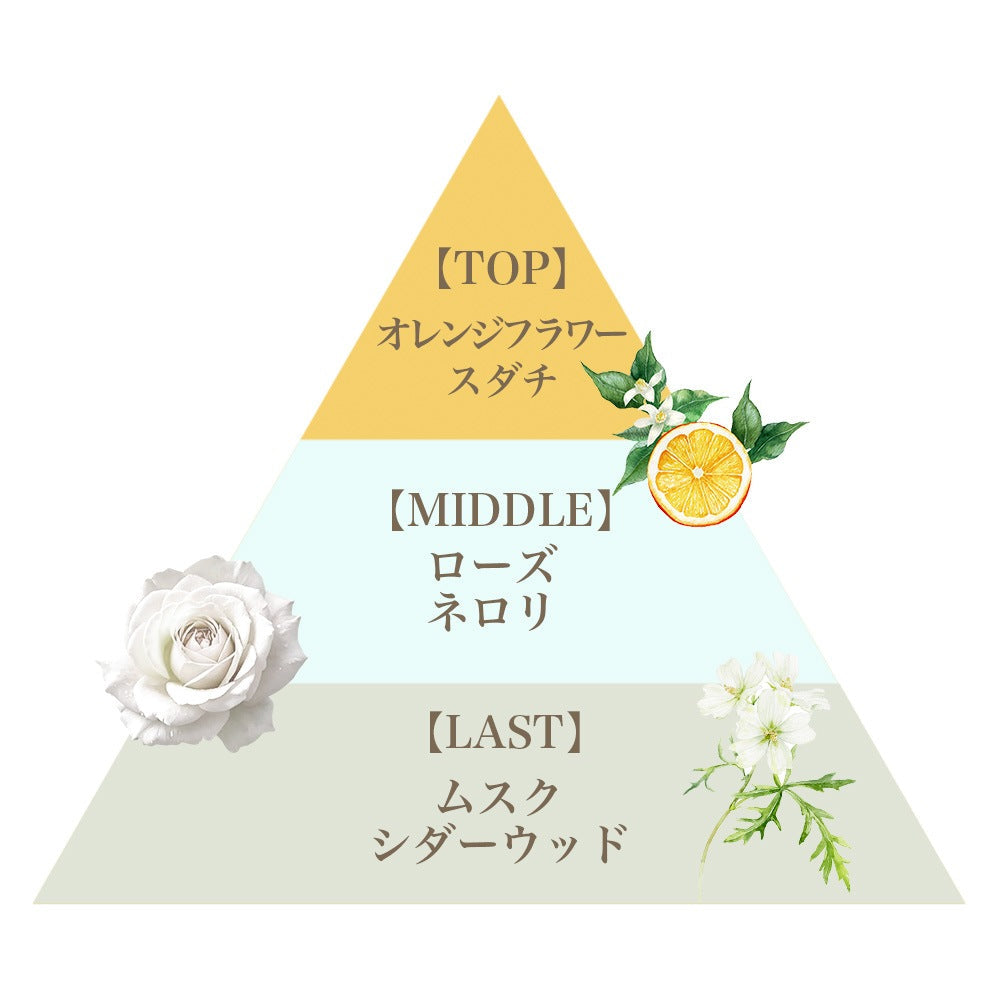プレミアム ハンドクリーム（ボニーレイズ）