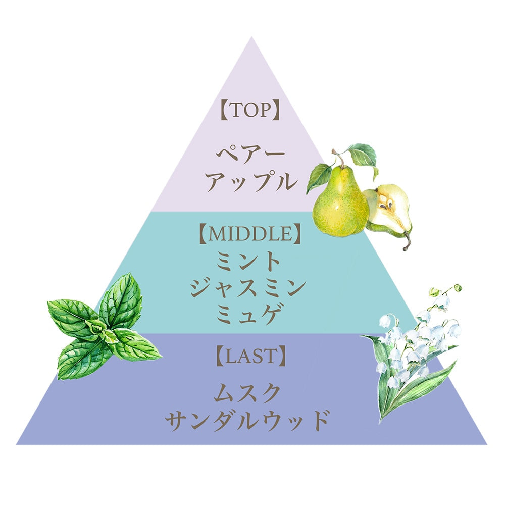 クール ミスト（マリアミント） – FERNANDA