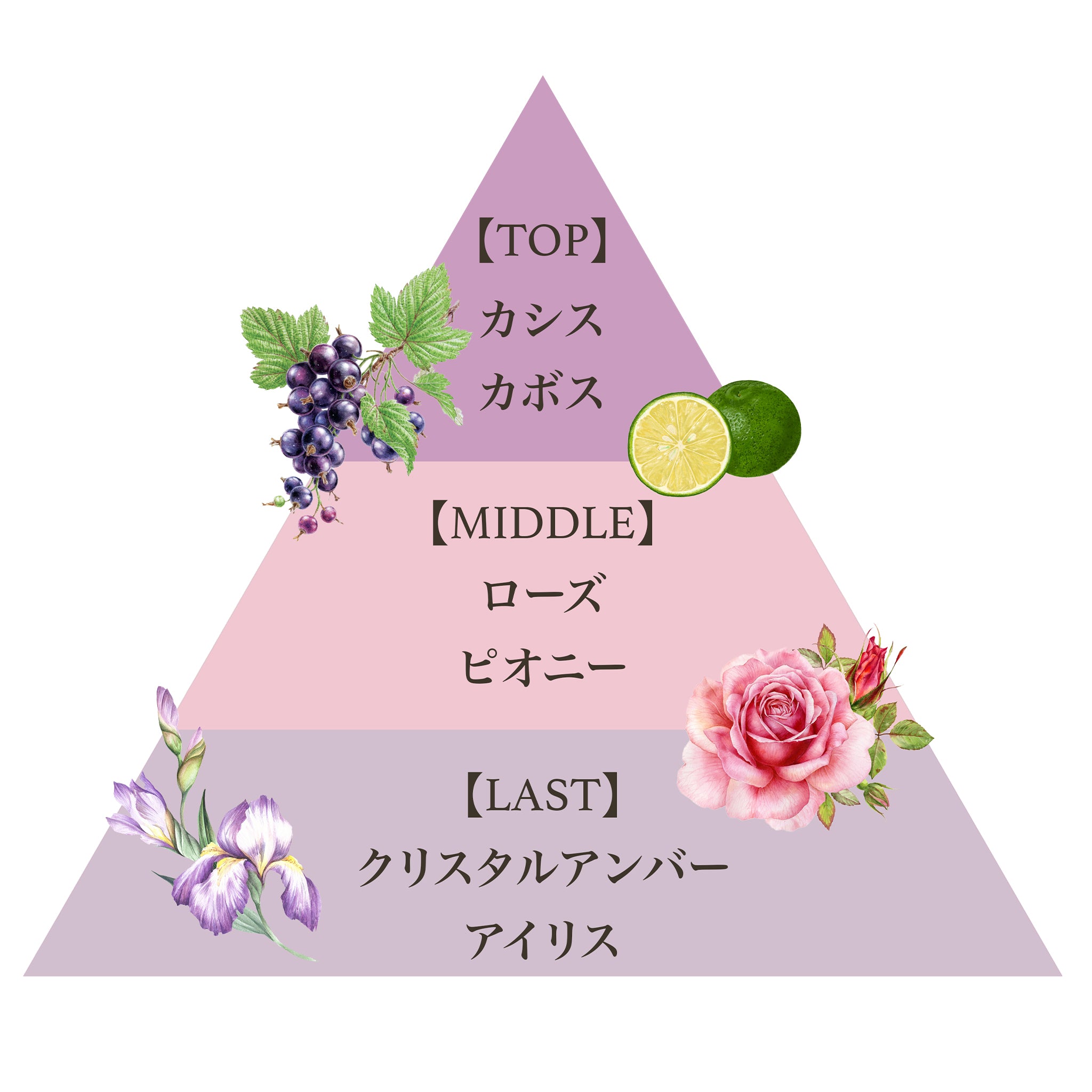 オード パルファム 12.5ml（カシスペタル） – FERNANDA