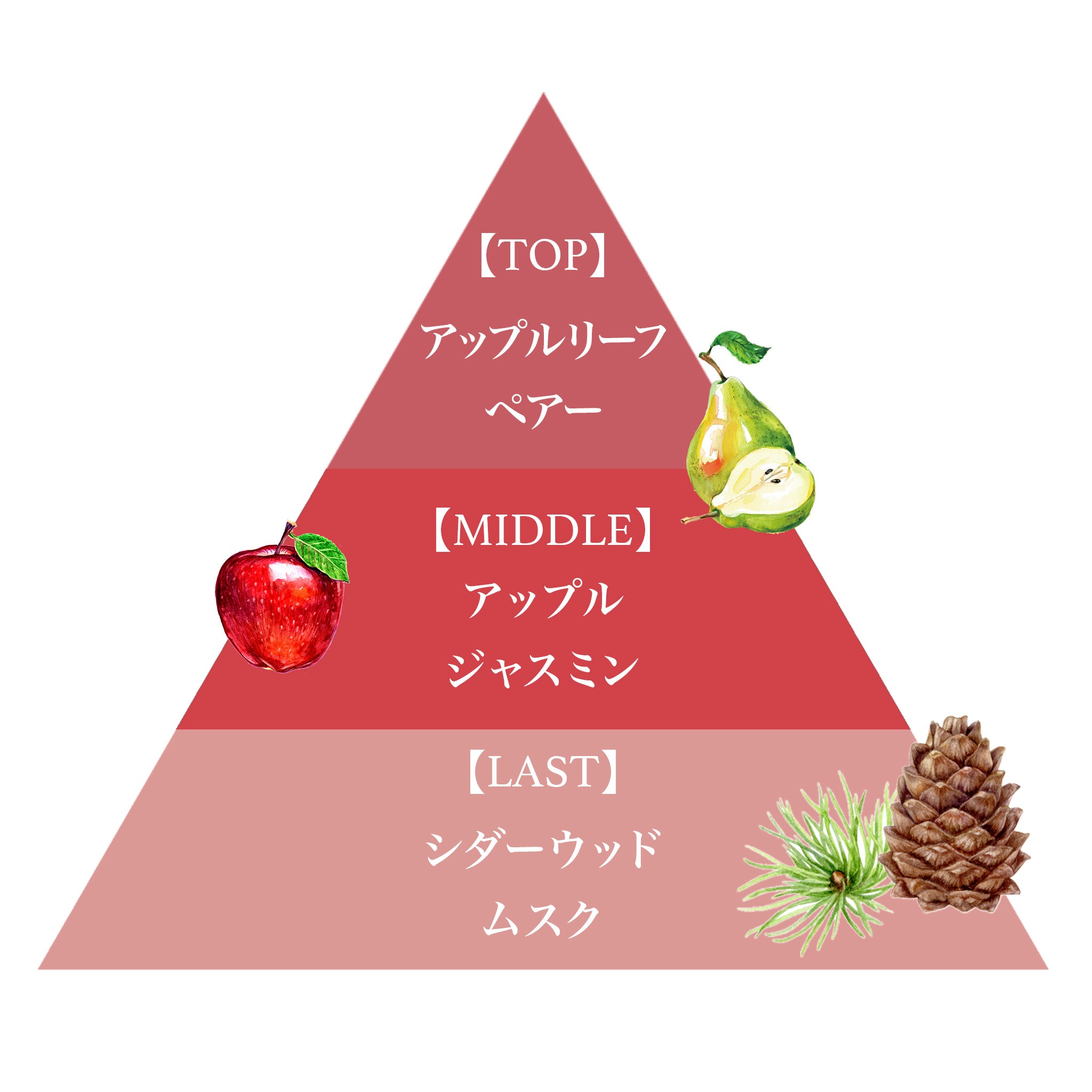 オード パルファム 50ml（リンゴ） – FERNANDA
