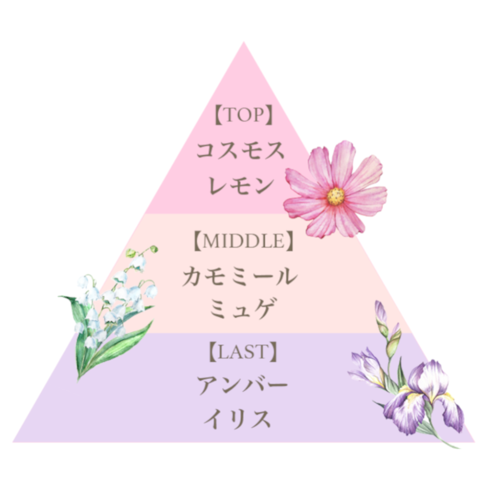プレミアム ボディソープ（ピンクコスモス）