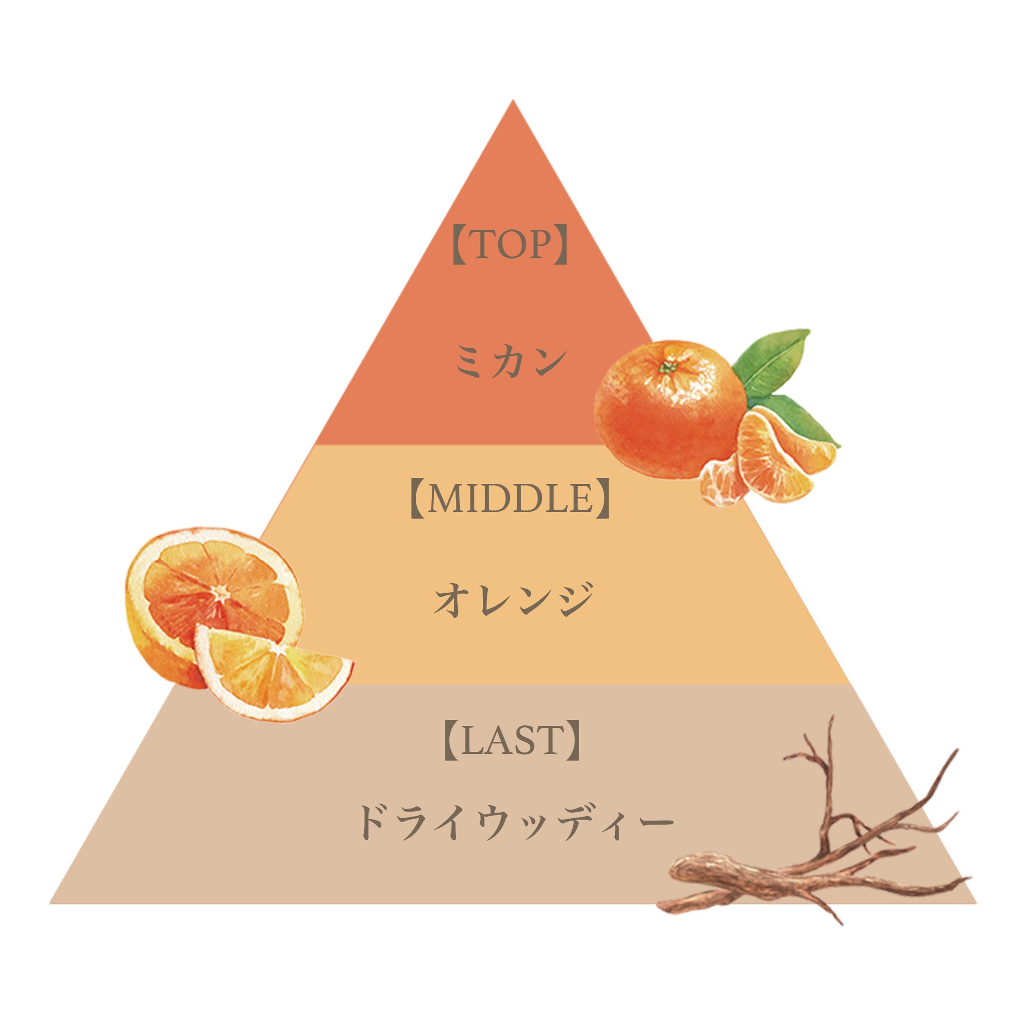 オード パルファム 50ml（ミカン） – FERNANDA