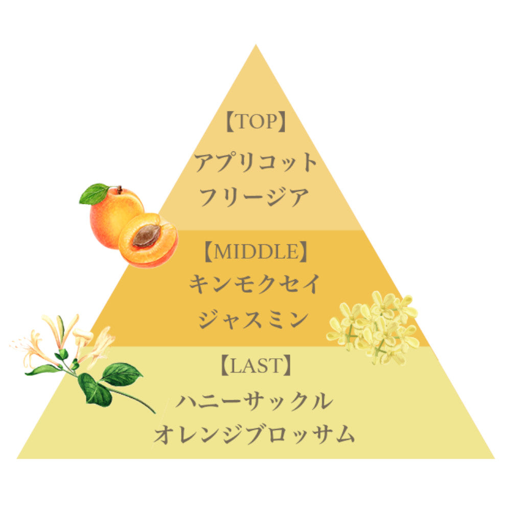 オード パルファム 50ml（オスメアンソス） – FERNANDA