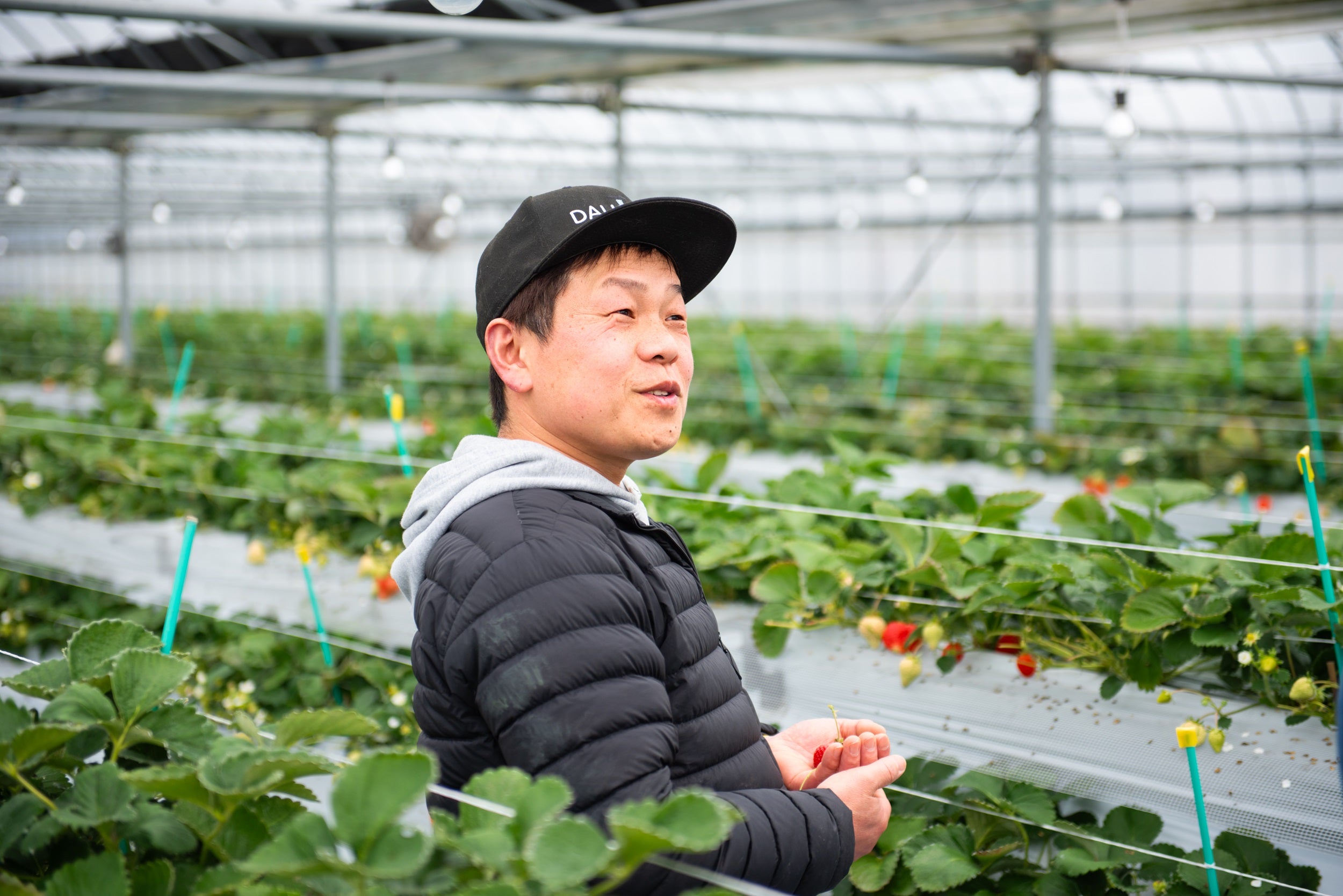 いちごの王様「あまおう」のロス果実を生かしたサスティナブル