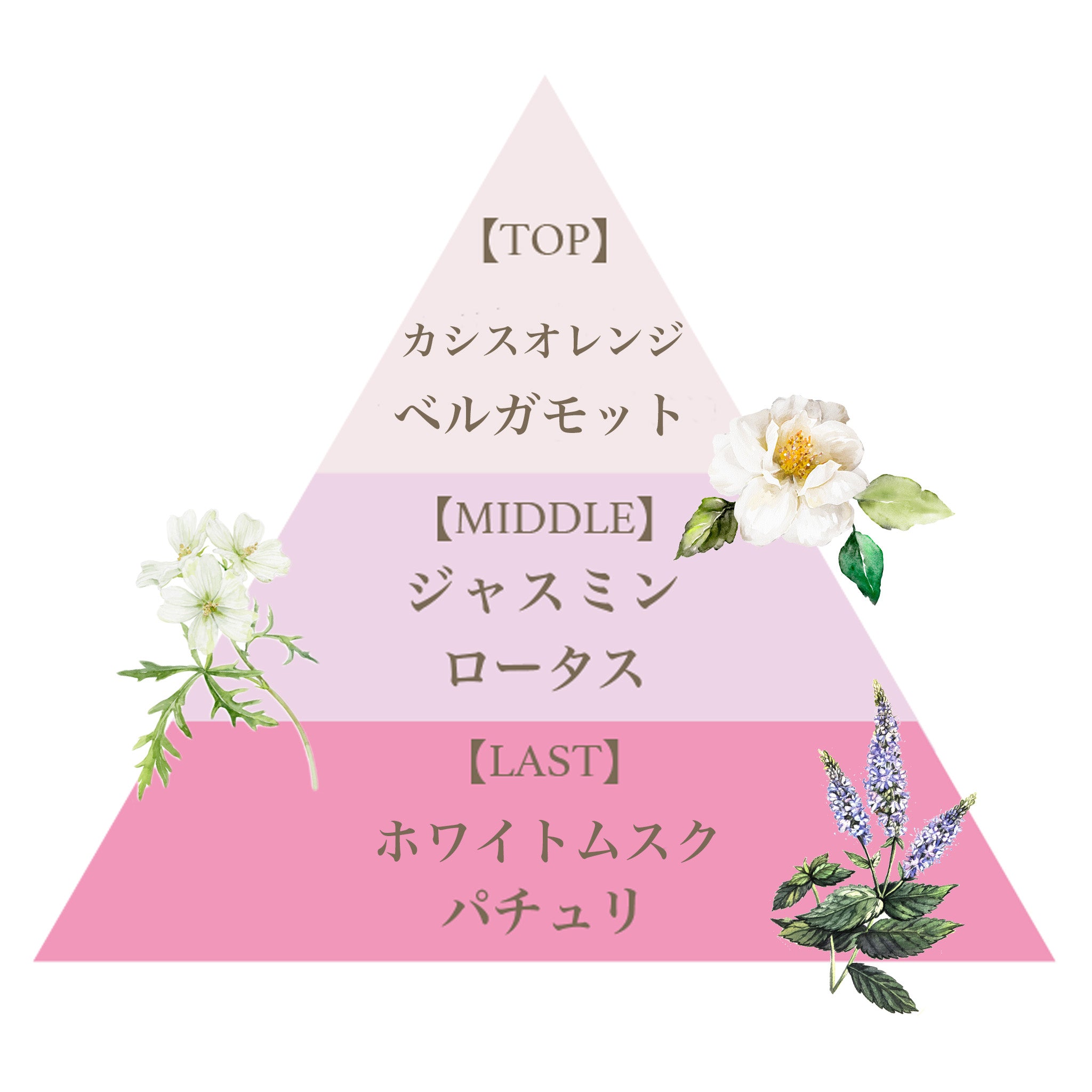 ボディスプラッシュ（フローレットダリアンセ） – FERNANDA