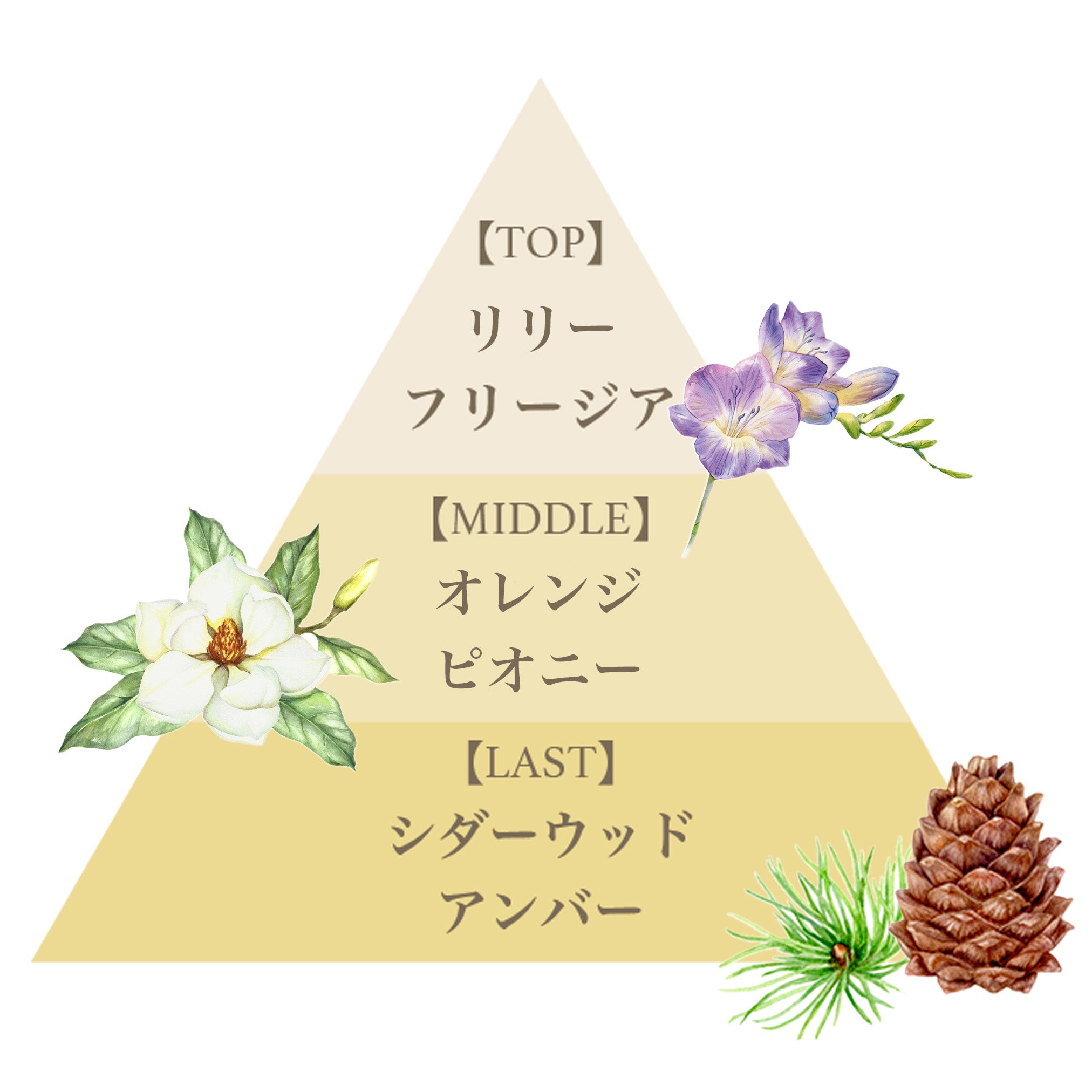オード パルファム 50ml（リリークラウン） – FERNANDA