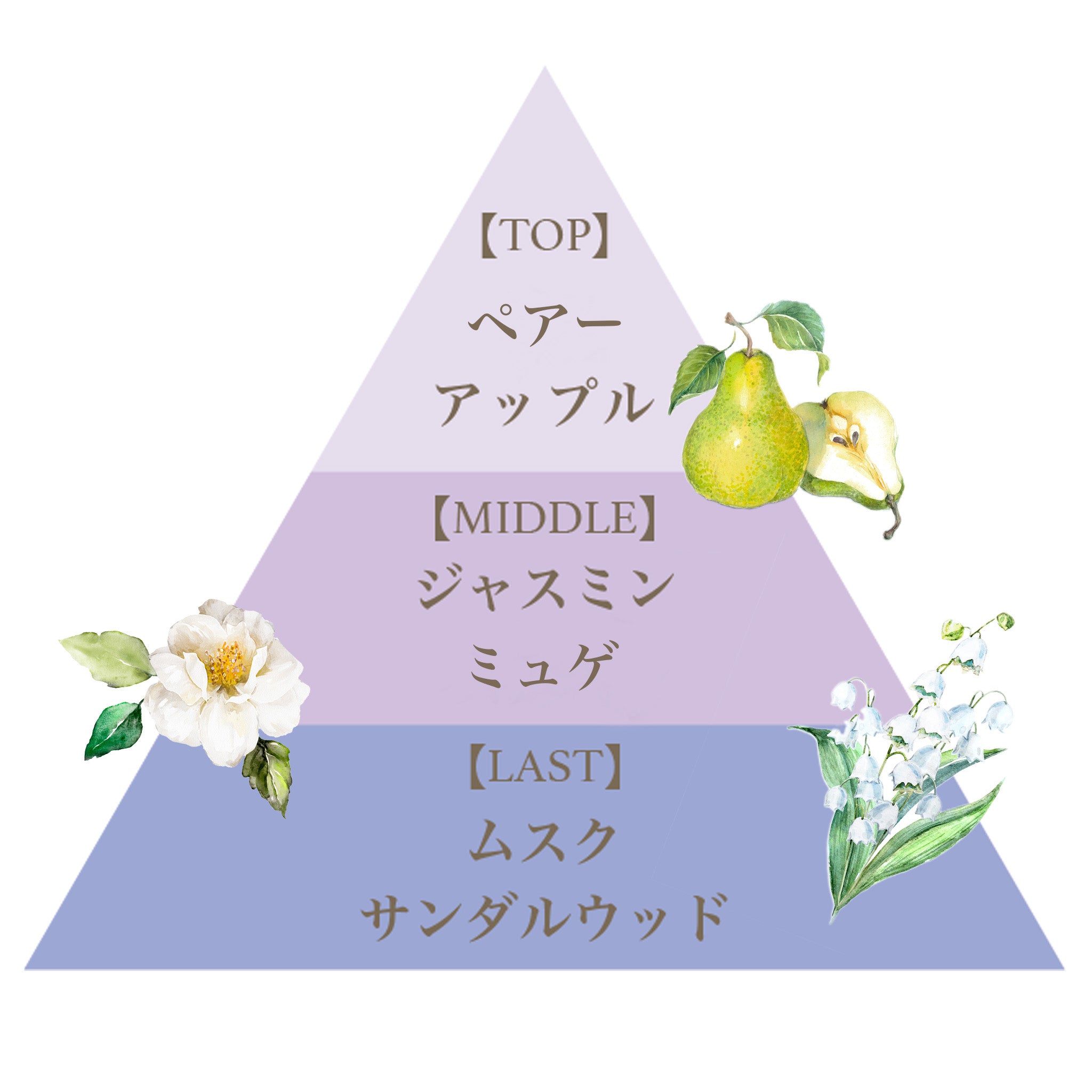 プレミアム ハンドクリーム（マリアリゲル） – FERNANDA