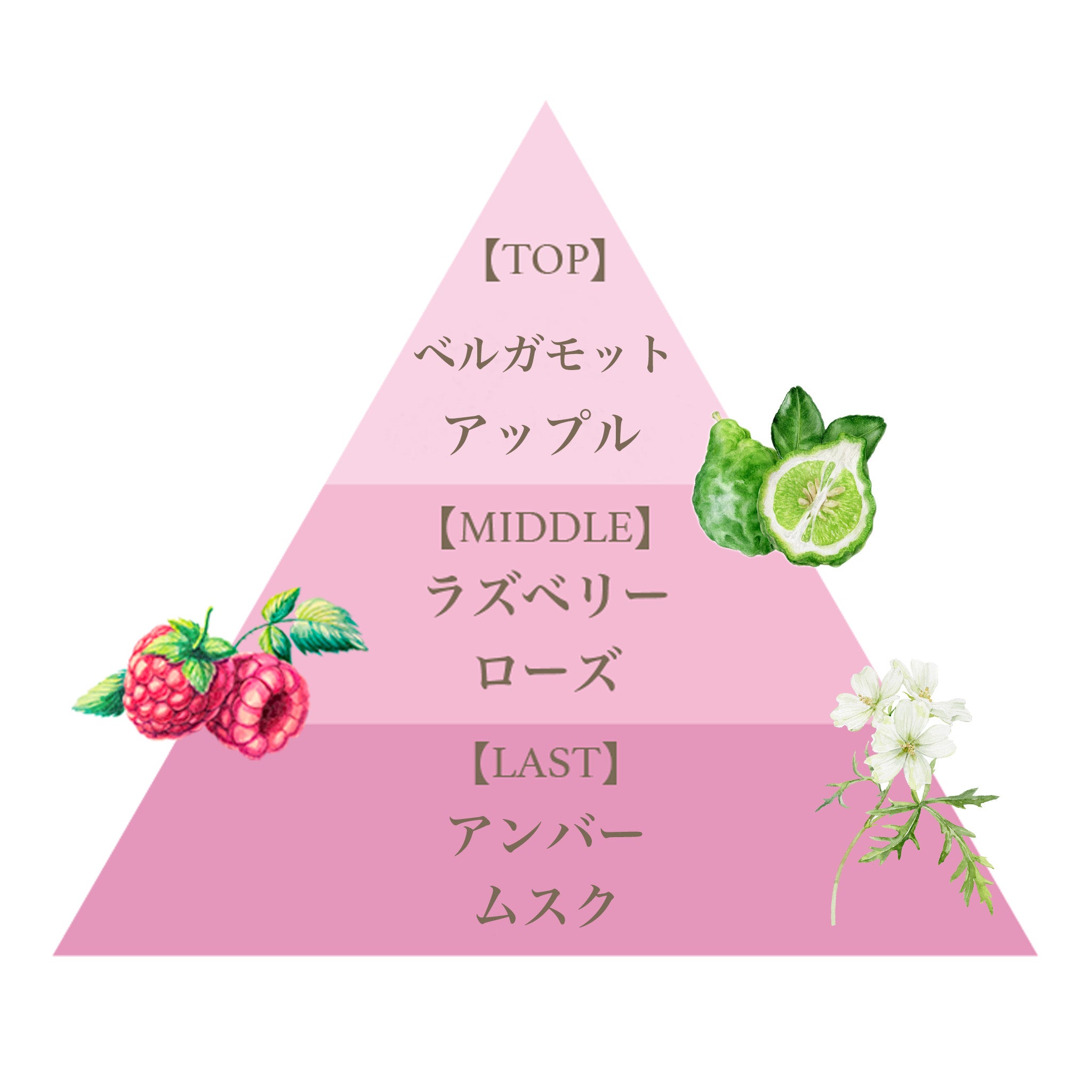シュガースクラブ グランデ（ピンクエウフォリア） – FERNANDA