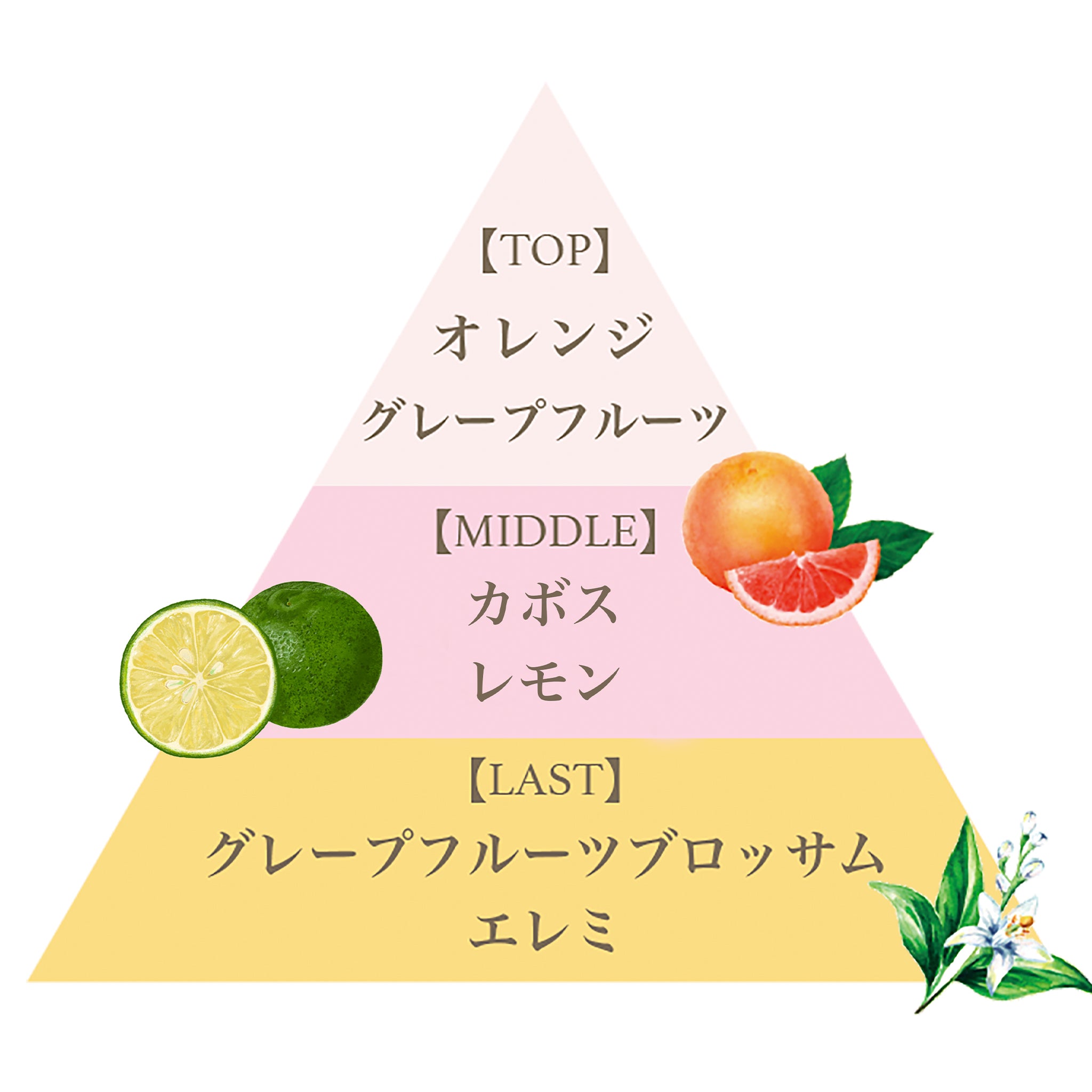 オード パルファム 12.5ml（ピンクグレープフルーツ） – FERNANDA