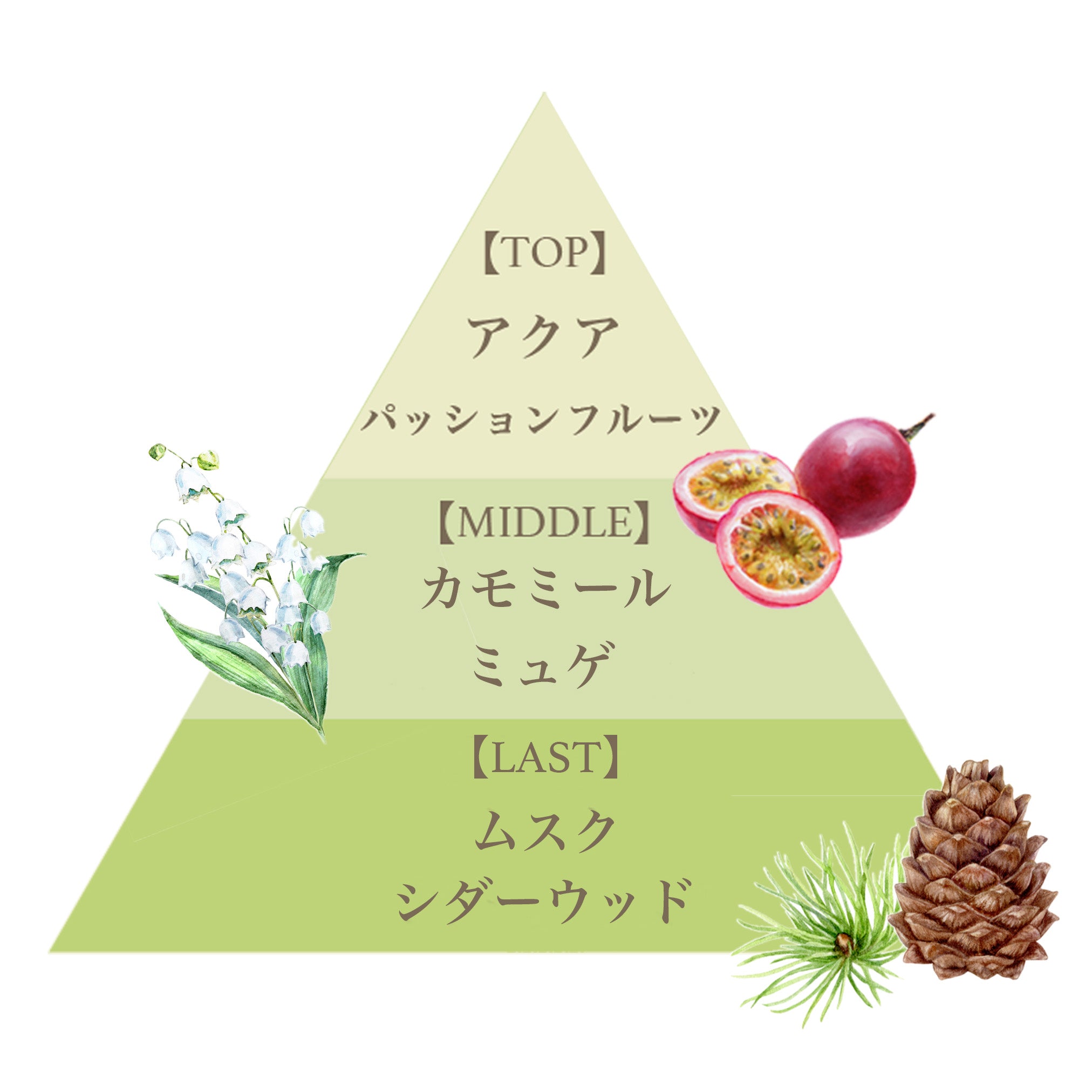オード パルファム 12.5ml（ケリーダテレーザ） – FERNANDA