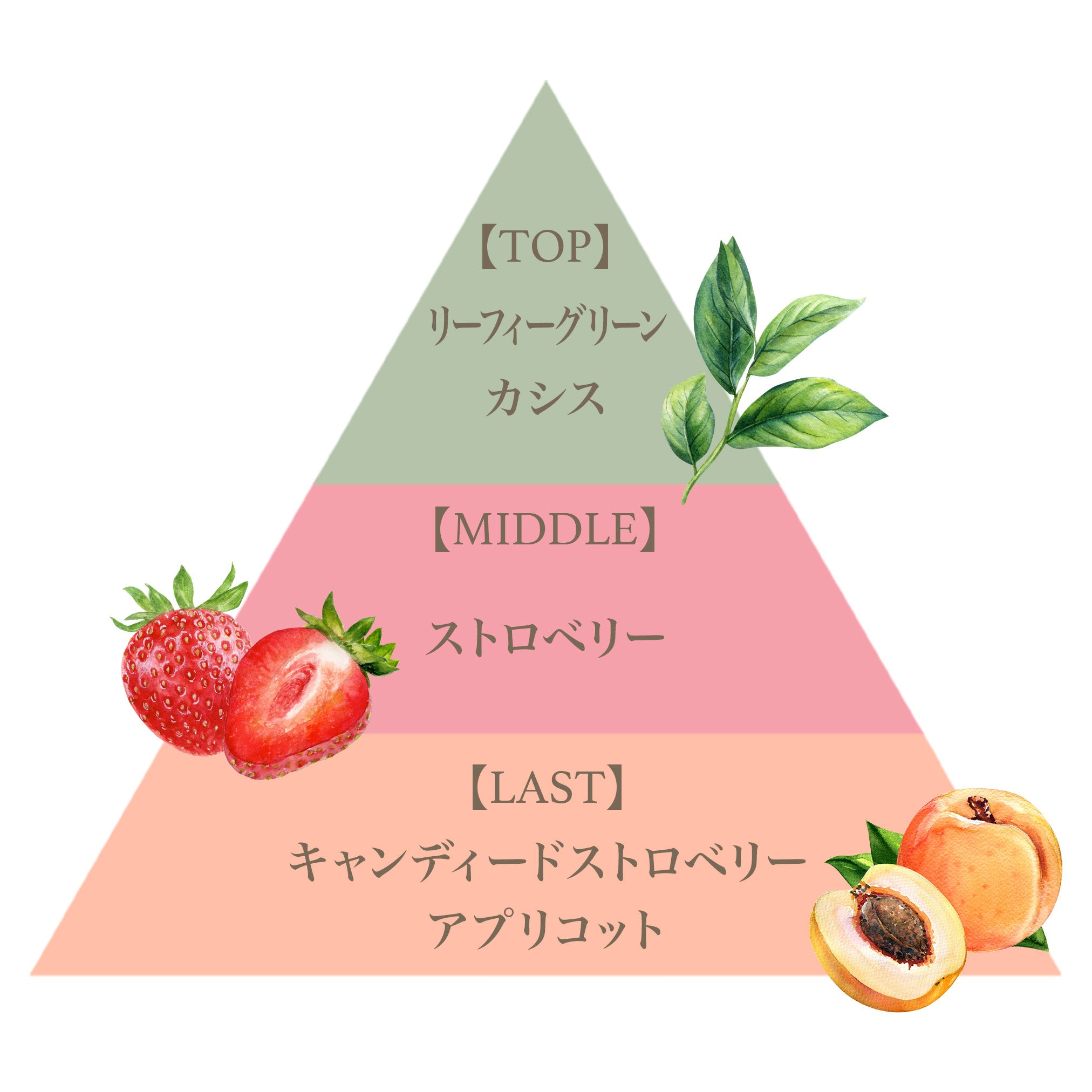 ミニ フレグランス セット（イチゴ） – FERNANDA
