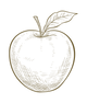 リンゴReEarth