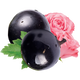 カシスペタル