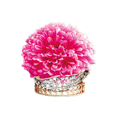 Pink Euphoria