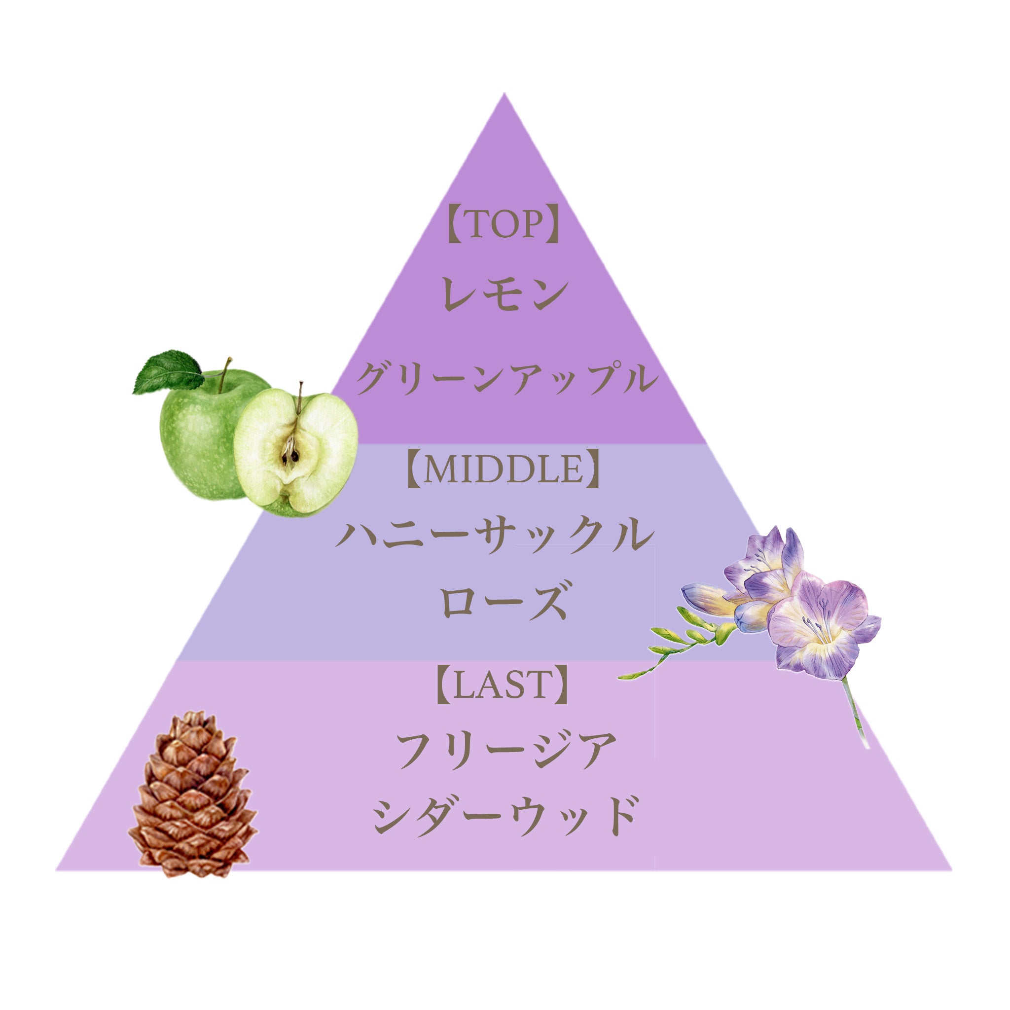 リッチ ハンドクリーム（バイオレットグロリアス） – FERNANDA