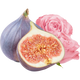 フィグヴェール