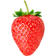 イチゴ