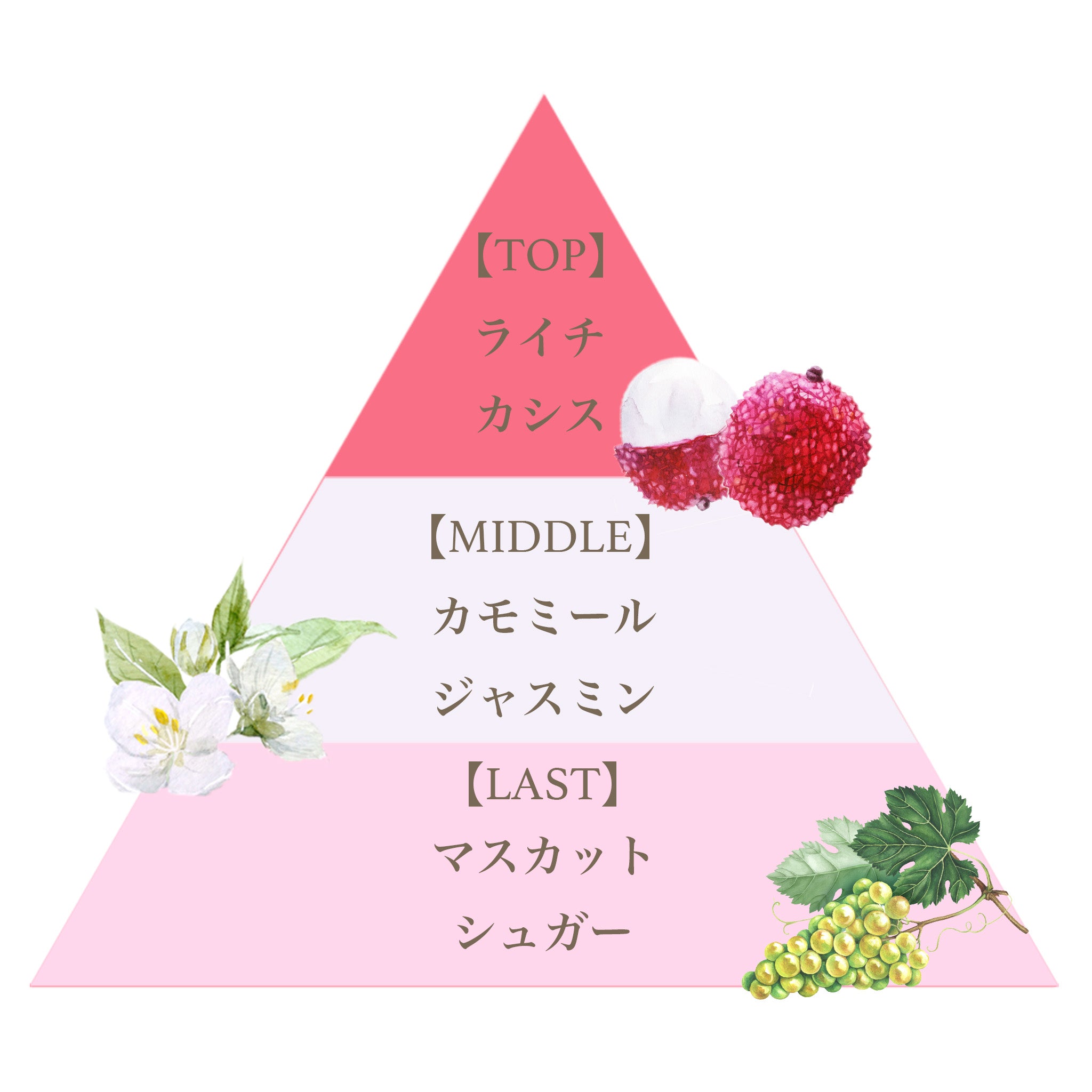 オード パルファム 12.5ml（ライチ） – FERNANDA
