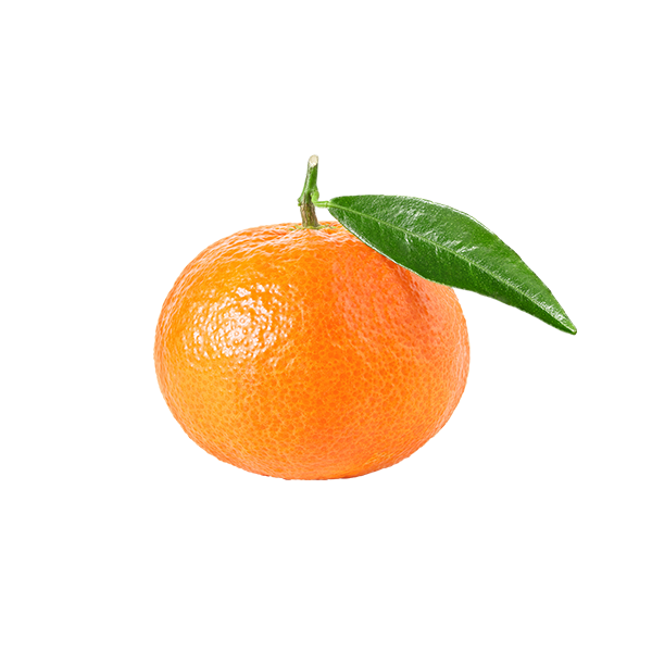 mikan