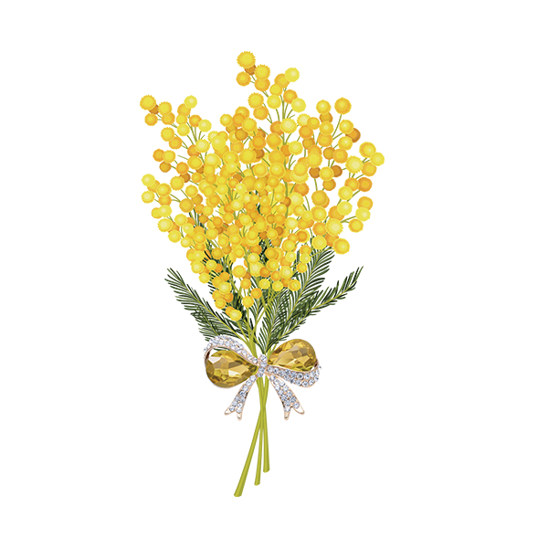 mimoza