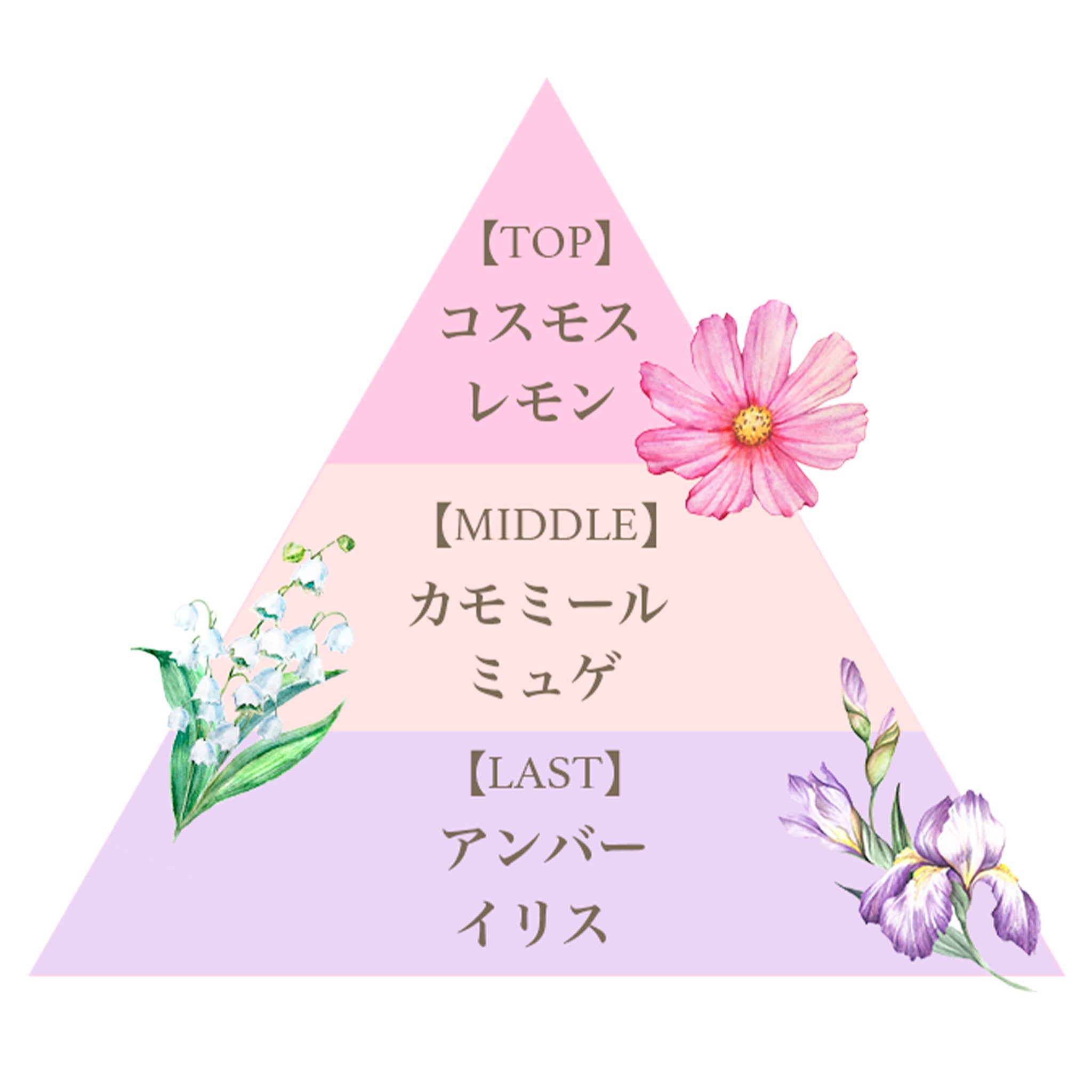 ミニ フレグランス セット（ピンクコスモス） – FERNANDA