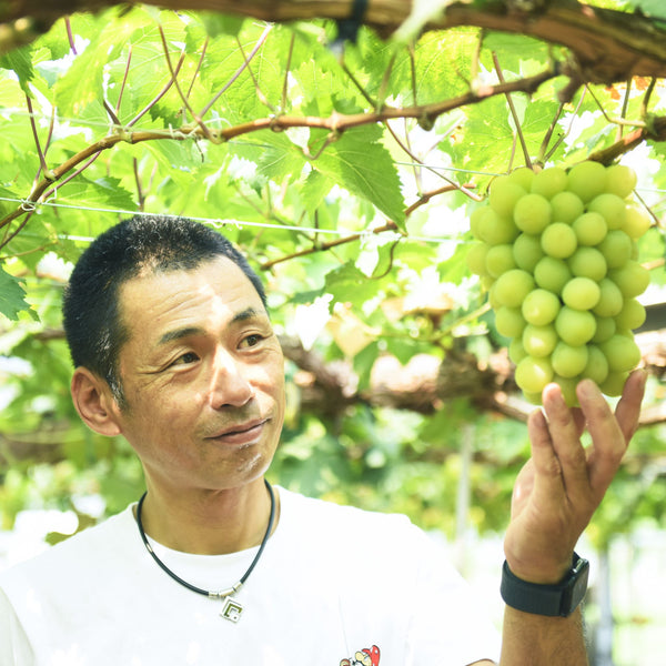 マスカット農家 平本さん